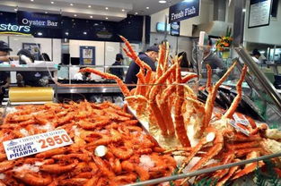 缘定南半球 为何我选择澳大利亚作为旅行目的地